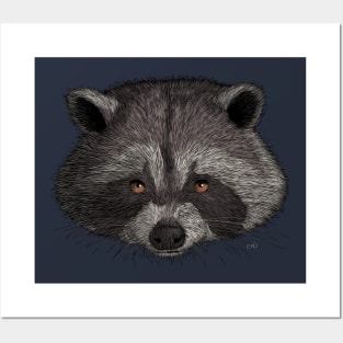 Raccoon Posters and Art